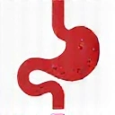 Digestion icon