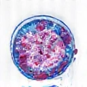 Cellular health icon