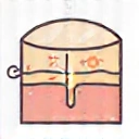 Skin health icon