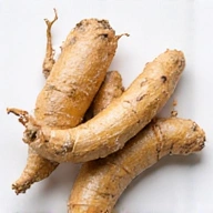 Ginseng root