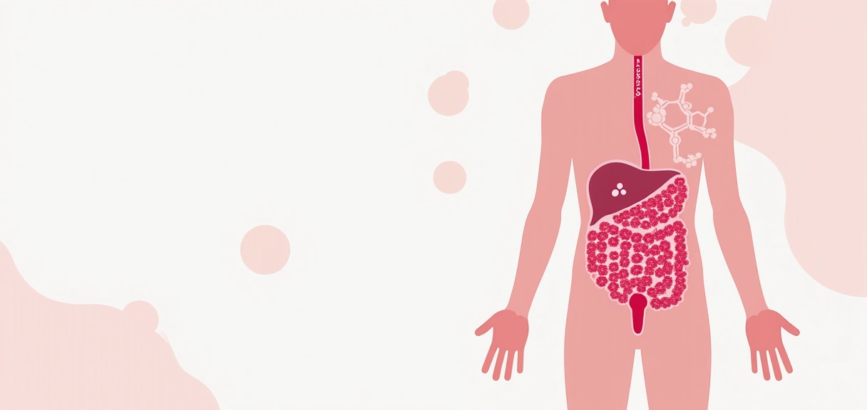 Infographic representing molecular absorption and bioavailability within the human body, with abstract shapes and pathways.